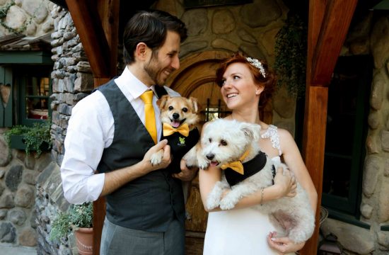 how to have dogs in wedding, wedding dogs, los angeles wedding photographer, trista maja photography bride and groom with dogs