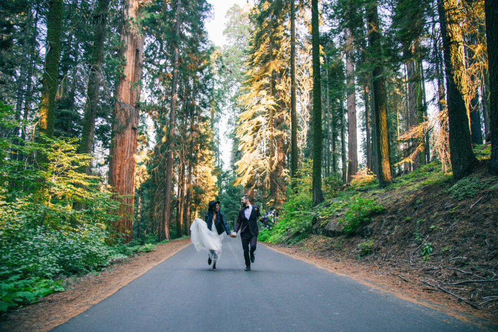 elope in sequoia, bride and groom running down the middle of the road in sequoia, sequoia wedding photographer