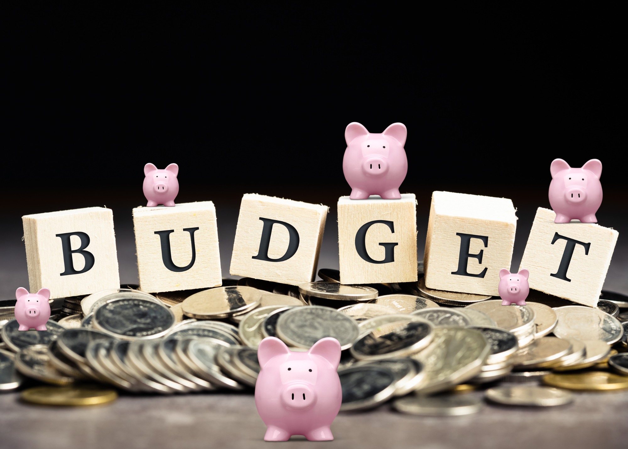 where to splurge vs. save on your wedding, graphic of coins and blocks that say budget with a bunch of pink piggy banks of different sizes