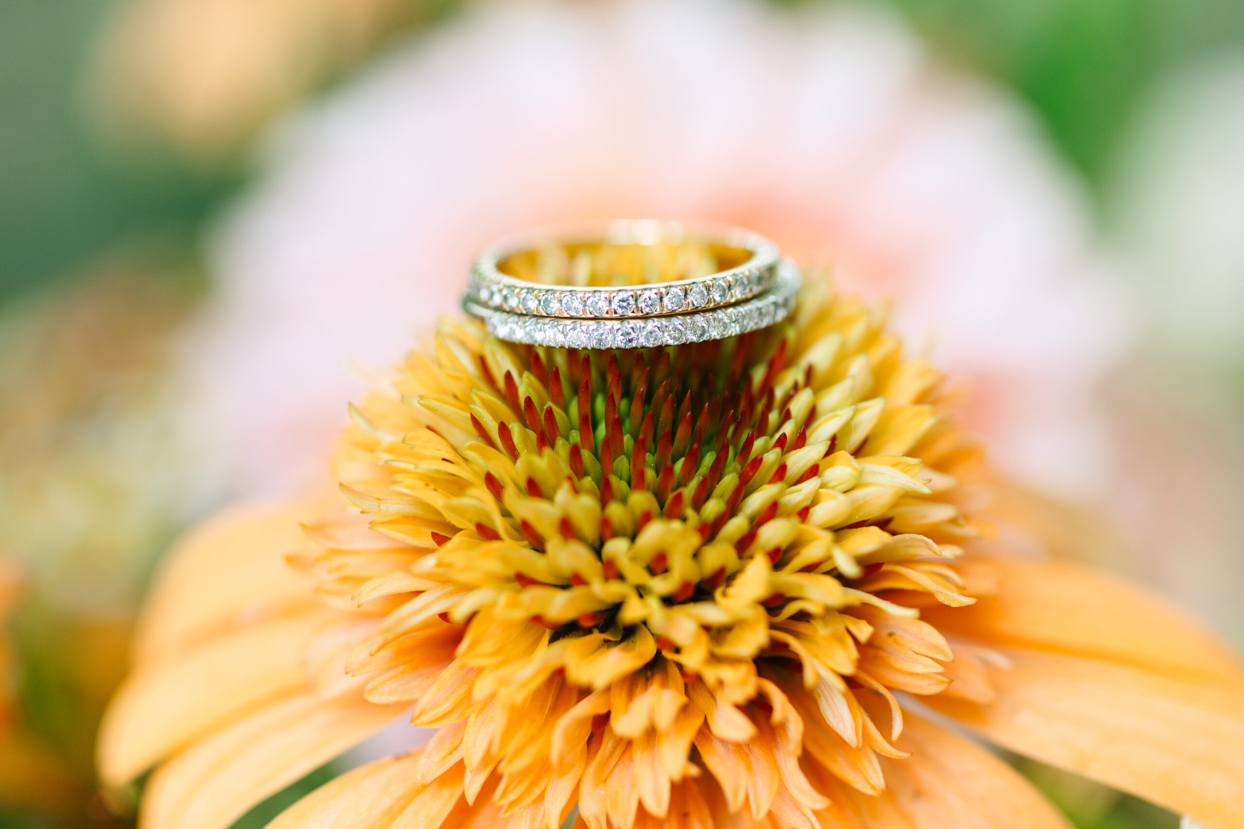 Southern California Wedding Photographer Hours
